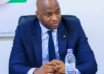 SONAP: l’ex ministre des Finances Moussa Cissé promu Directeur Général