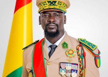 Effigie du Président Doumbouya : le Directeur de l’OGP Mandian Sidibé menace de sévir