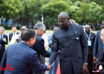 [Contribution] Apprendre avant de savoir : Ne pas confondre le Projet Simandou avec le Programme Simandou 2040 ! (Par A. Sankara)